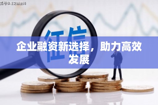 东西湖企业融资新选择，助力高效发展